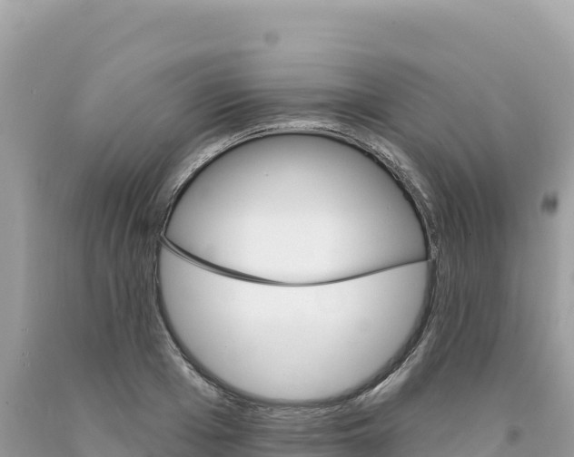 X0000094190985200710260950