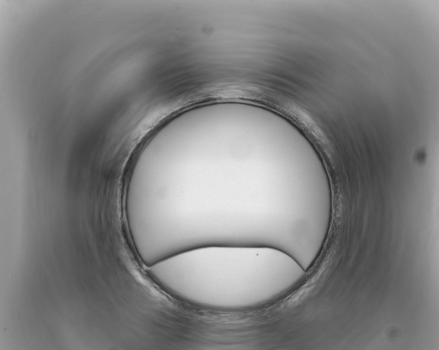 X0000094190986200710260950
