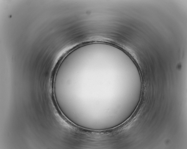 X0000094190987200710260950