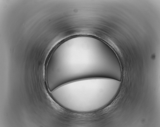 X0000094190988200710260950
