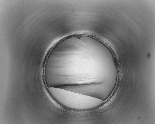 X0000094190989200710260950