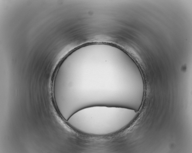 X0000094190990200710260950