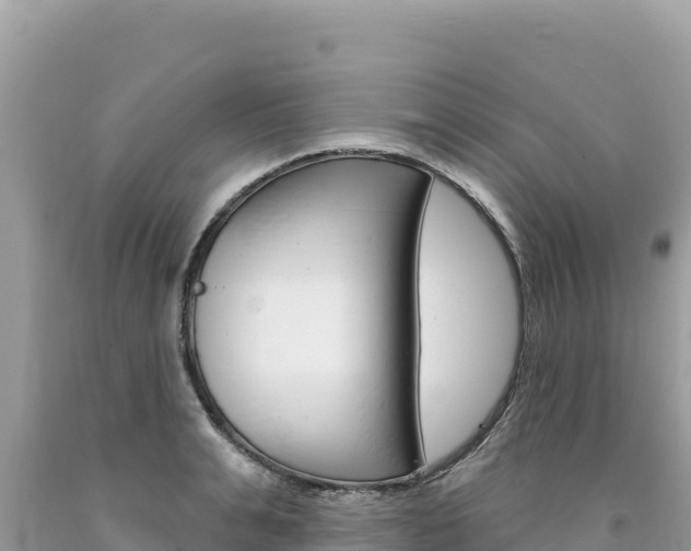 X0000094190991200710260950