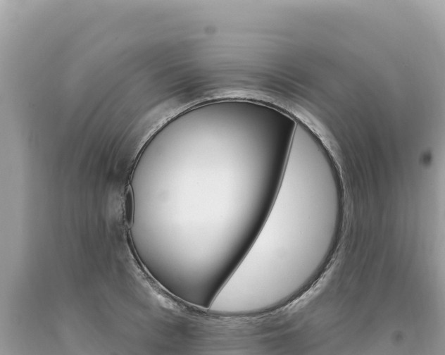 X0000094190993200710260950