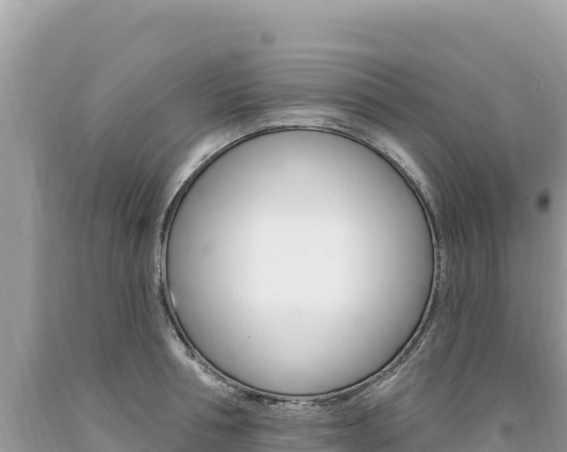 X0000094190994200710260950