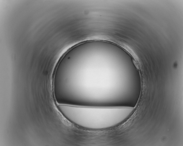 X0000094190996200710260950