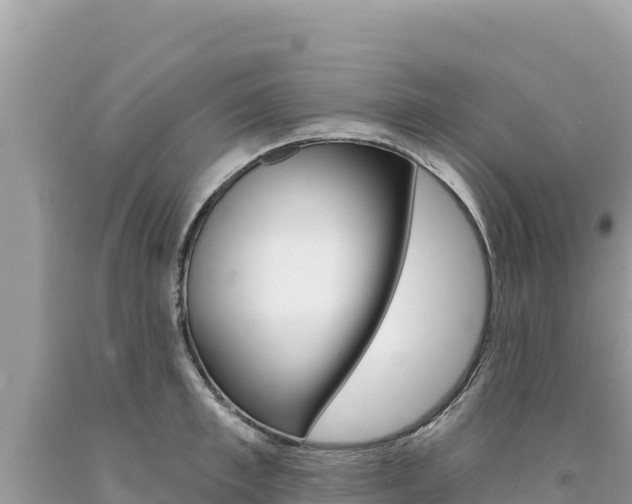 X0000094190997200710260950