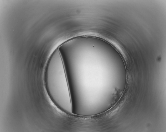 X0000094190999200710260950