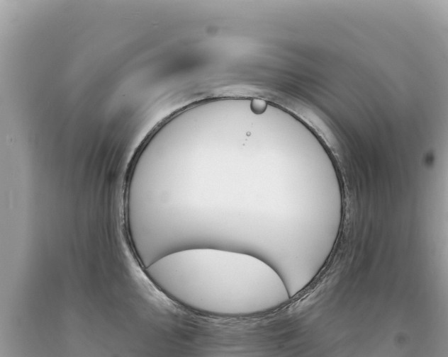X0000094191000200710260950
