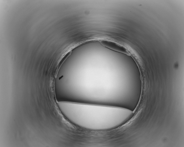 X0000094191001200710260950