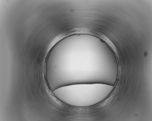 X0000094191002200710260950