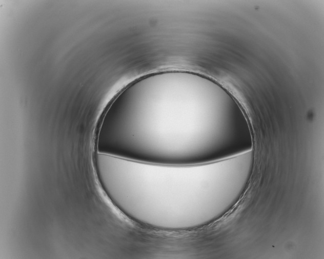X0000094191005200710260950
