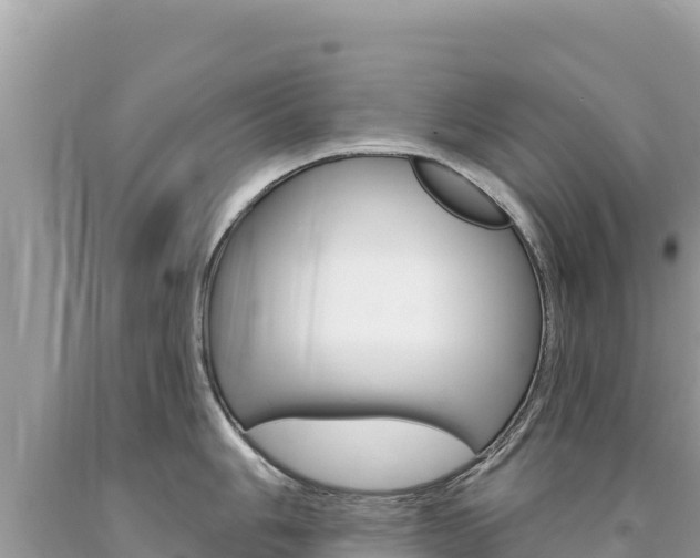 X0000094191006200710260950