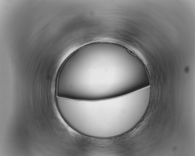 X0000094191007200710260950
