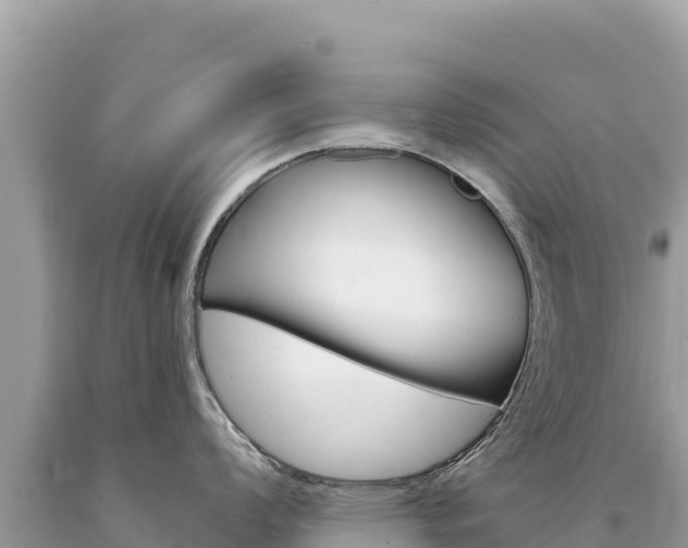 X0000094191008200710260950