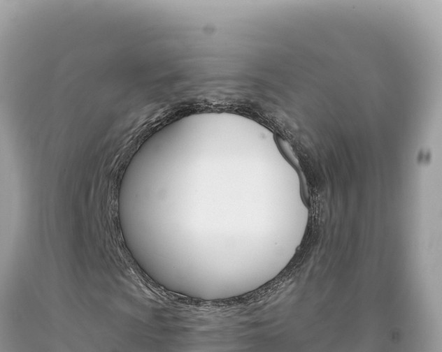 X0000094191009200710260949