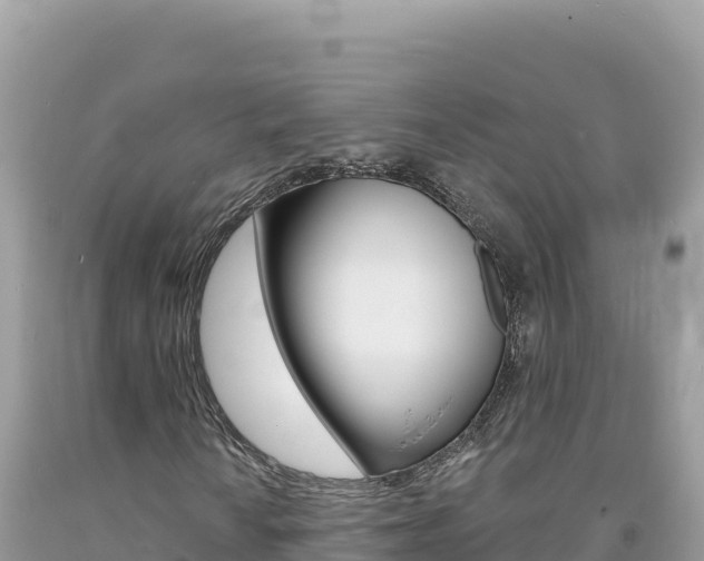 X0000094191010200710260949