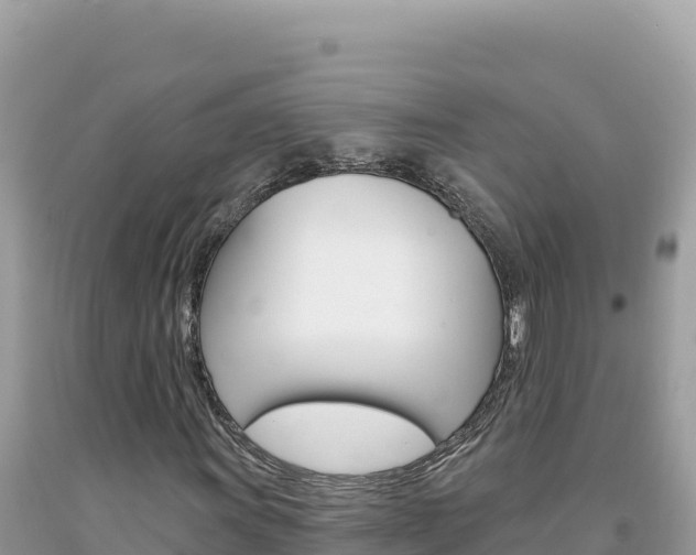 X0000094191011200710260949