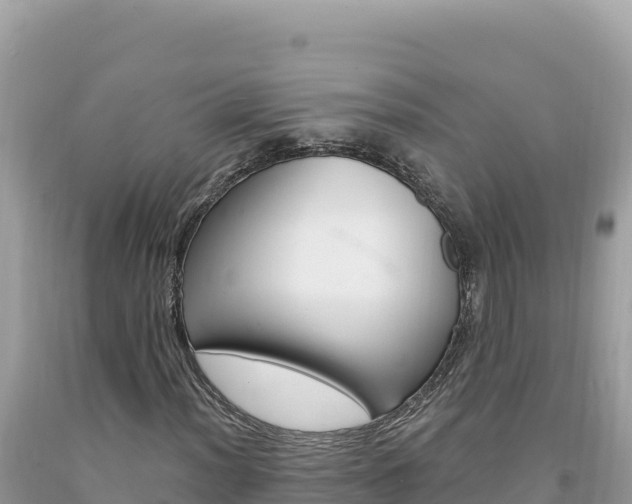 X0000094191012200710260949