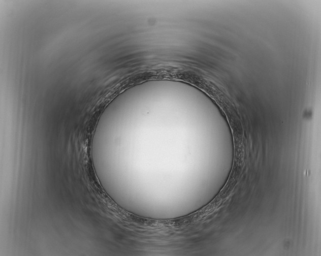 X0000094191013200710260949