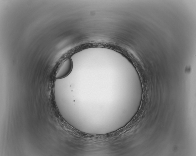 X0000094191016200710260949
