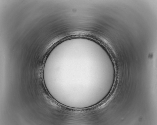 X0000094191017200710260949