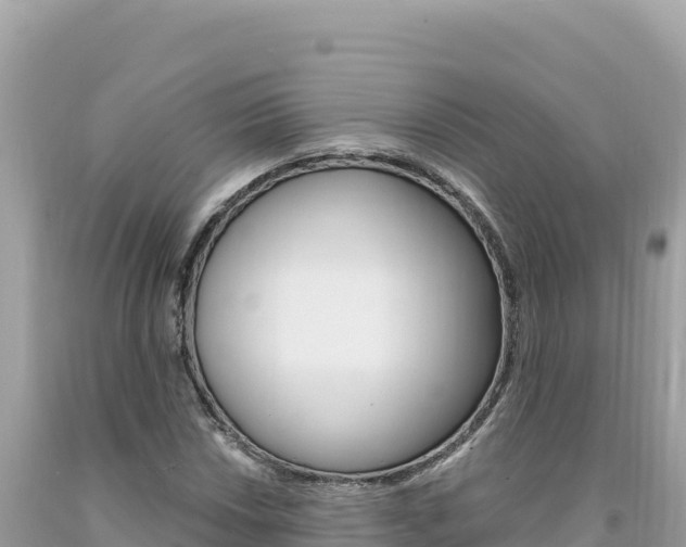 X0000094191018200710260949
