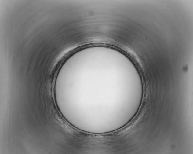 X0000094191019200710260949