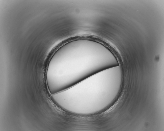 X0000094191021200710260949
