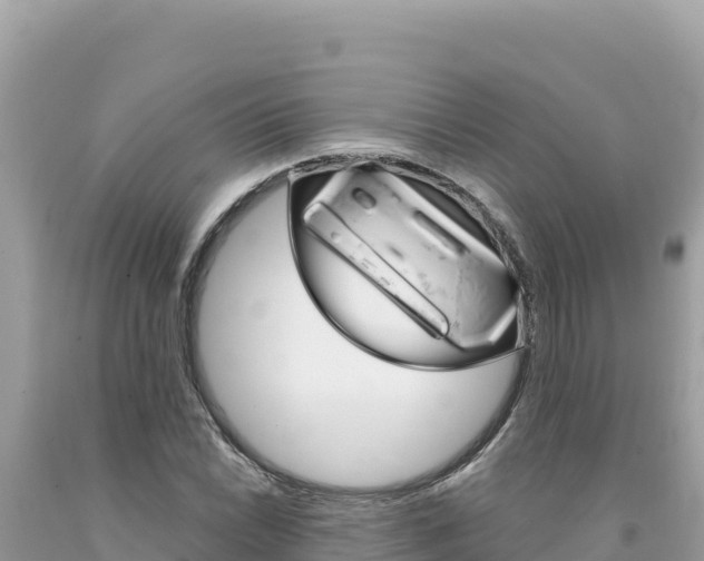 X0000094191022200710260949