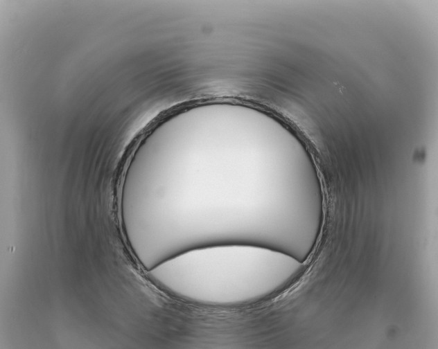 X0000094191023200710260949