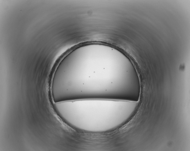 X0000094191024200710260949