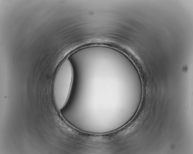 X0000094191025200710260949
