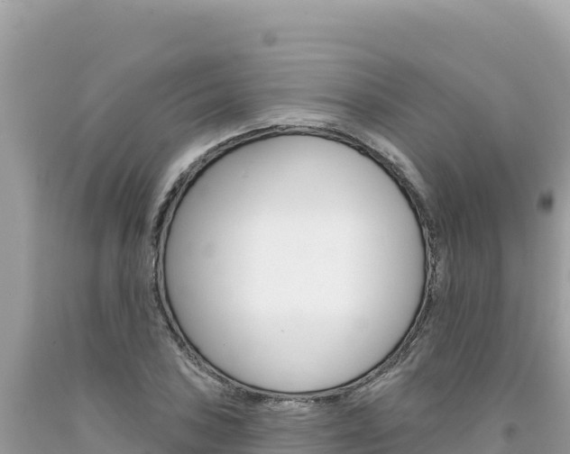 X0000094191027200710260949