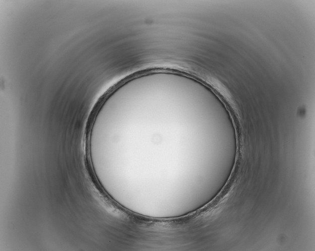 X0000094191028200710260950