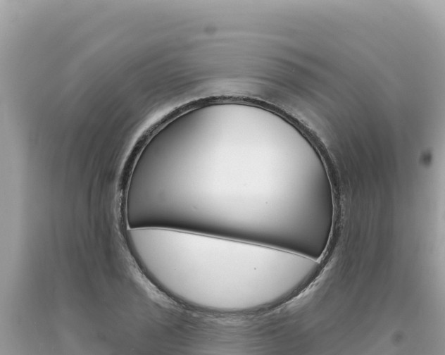 X0000094191029200710260950