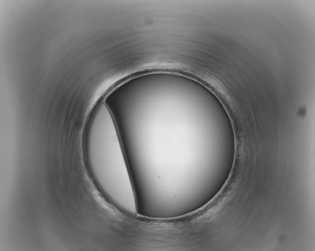 X0000094191030200710260950