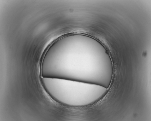X0000094191032200710260950