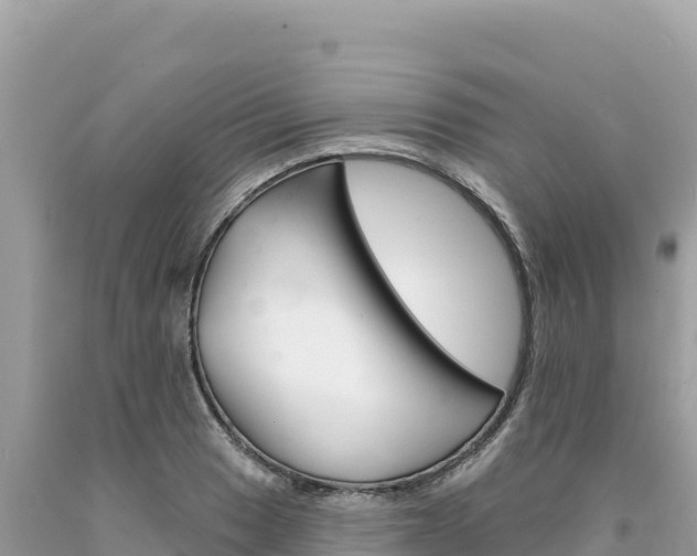 X0000094191033200710260950