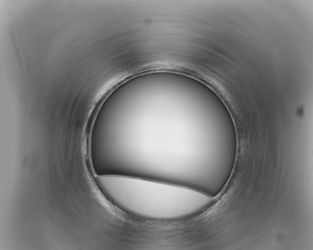 X0000094191034200710260950