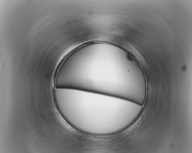 X0000094191036200710260950
