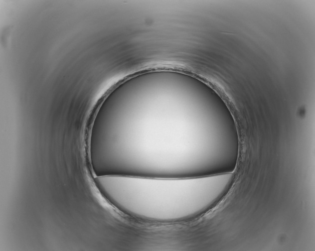X0000094191038200710260950