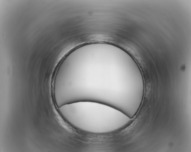 X0000094191039200710260950