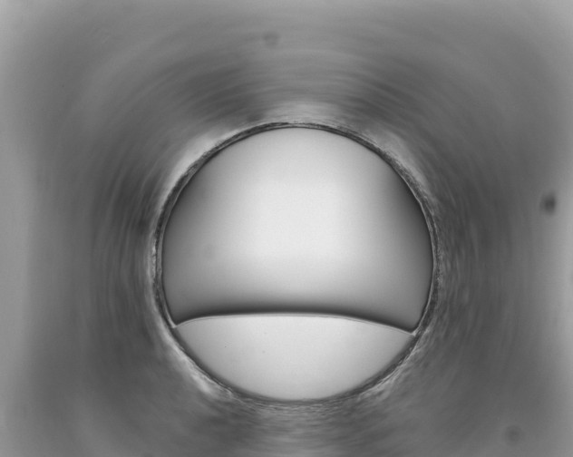 X0000094191040200710260950