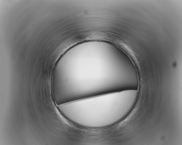 X0000094191041200710260950