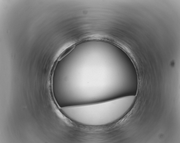 X0000094191042200710260950