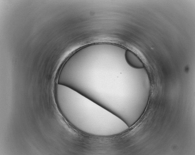 X0000094191043200710260950