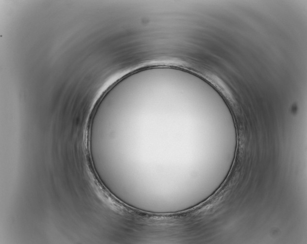 X0000094191044200710260950