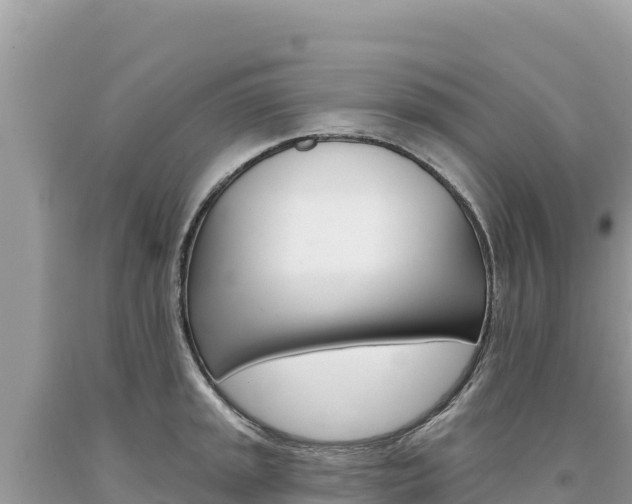 X0000094191045200710260950