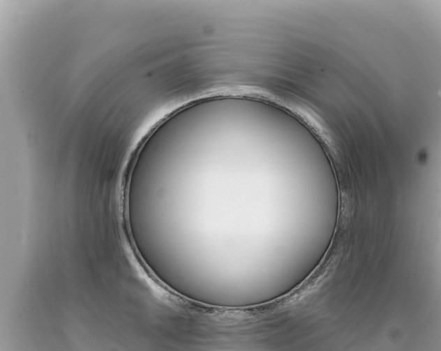 X0000094191046200710260950